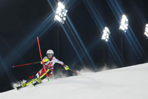 GEPA_full_7618_GEPA-14012055021